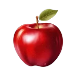 Red apple events and hire company best in south africa